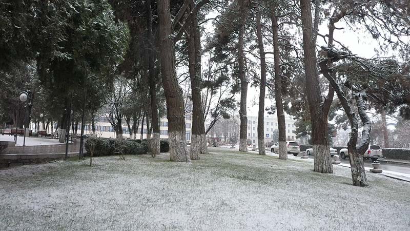 Gezmeli08